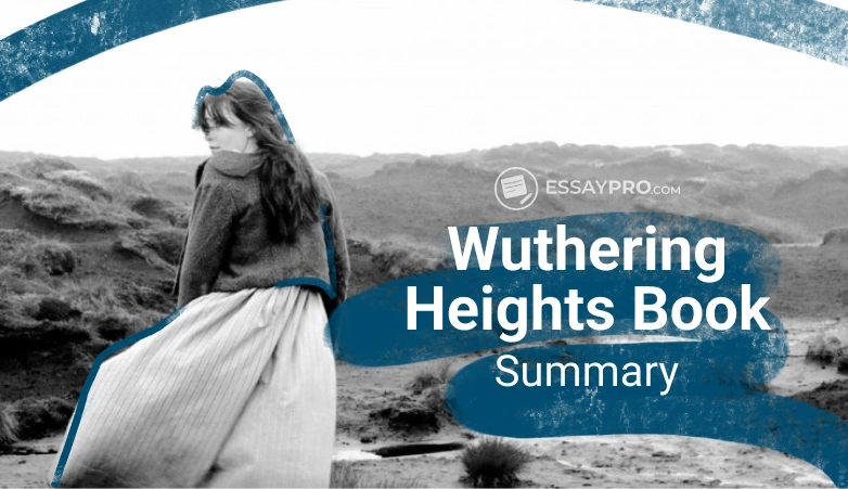 WUTHERING HEIGHTS SUMMARY visual data 6